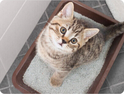 Ahşap Oyma ve El Sanatları