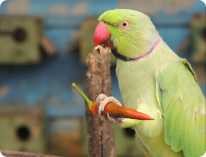 Seçili Ürünlerde <b>%50 İndirim</b>