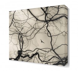 Ağaç Dalları ve Uçan Kuş Tablosu - 1