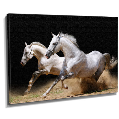 Beyaz Koşan At tablosu