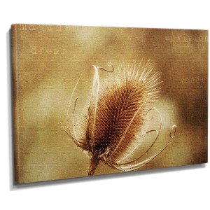 Dekoratif Çiçek2 Tablosu - 1