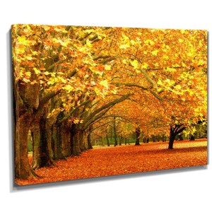 Dekoratif sonbahar canvas tablo - 1