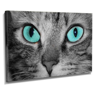 Dekorsevgisi - Deniz Gözlü Kedi Tablosu