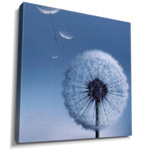 Karahindiba tablosu - 1