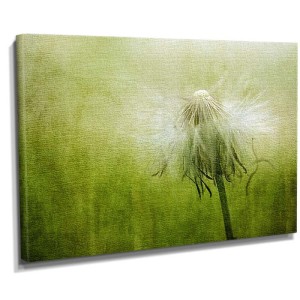 Dekorsevgisi - Karahindiba5 Tablosu