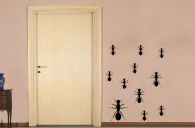 Karıncalı Duvar Stickeri