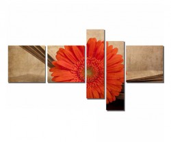 Kitap Arasındaki Turuncu Çiçek Tablosu - Thumbnail