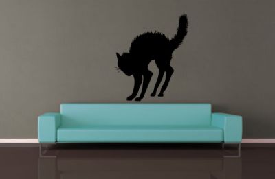 Korkmuş Kedi Duvar Stickeri