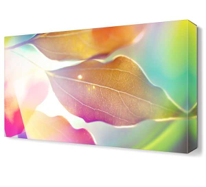 Dekorsevgisi - Pembe Yaprak Tablosu