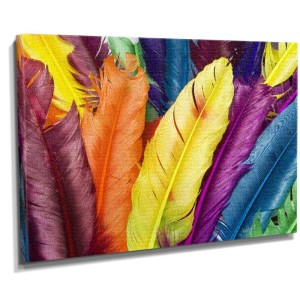 Dekorsevgisi - Renkli Tüyler Tablosu