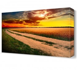 Gün Batımı Tarla Manzarası Canvas Tablo (1)