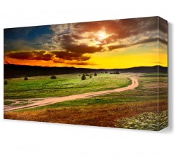 Tarlada Yol Manzarası Canvas Tablo