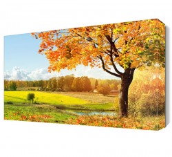 Sonbahar Ağaç Manzarası Canvas Tablo