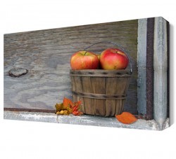 Yapraklar ve Elma Canvas Tablo (1)