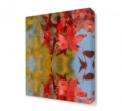 Suya Dökülen Yapraklar Canvas Tablo (1)
