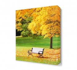 Bank ve Yapraklar Canvas Tablo (1)