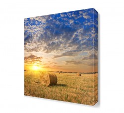 Tarla ve Güneş Manzarası Canvas Tablo