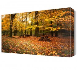Sonbaharda Orman Manzarası Canvas Tablo (1)