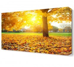 Sonbahar Yapraklar Manzarası Canvas Tablo (1)