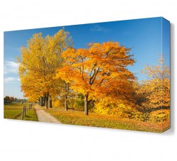 Sarı Ağaç Manzarası Canvas Tablo