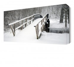 Kara Bürünmüş Köprü Canvas Tablo (1)