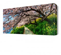 İlkbahar Ağaç Manzarası Canvas Tablo (1)