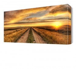 Tarla Yolu Manzarası Canvas Tablo (1)