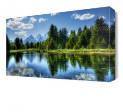 Ağaçların Denize Yansıması Canvas Tablo (1)