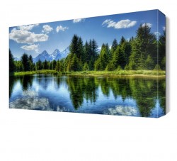 Ağaçların Denize Yansıması Canvas Tablo