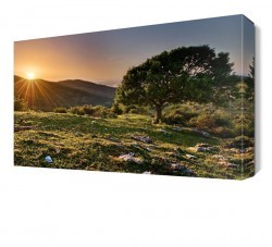 Dağ Manzarası2 Canvas Tablo (1)