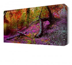 Orman Manzarası Canvas Tablo