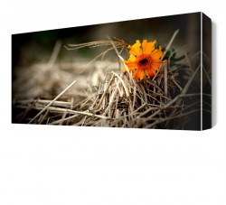 Nostalji Çiçek Canvas Tablo