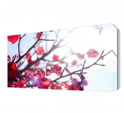 Daldaki Kırmızı Yapraklar Canvas Tablo (1)