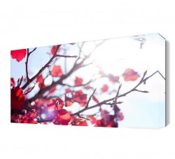 Daldaki Kırmızı Yapraklar Canvas Tablo