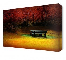 Ağaçlar Arasındaki Bank Canvas Tablo (1)