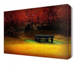 Ağaçlar Arasındaki Bank Canvas Tablo