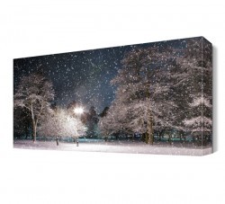 Kar Taneleri Manzarası Canvas Tablo (1)