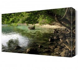 Akarsu Manzarası Canvas Tablo (1)