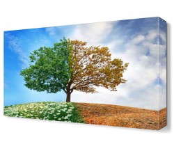 İlkbahar ve Sonbahar Ağacı Canvas Tablo - Thumbnail