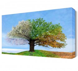Dört Mevsim Ağacı Canvas Tablo