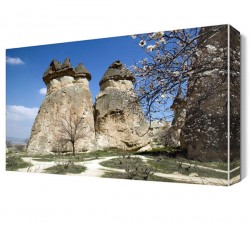 Kapadokya Peri Bacaları Canvas Tablo