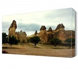 Peri Bacaları ve Ağaçlar Canvas Tablo (1)