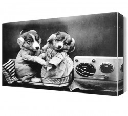 Müzik Dinleyen Köpekler Canvas Tablo