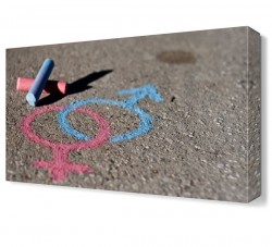 Cinsiyet Ayrım Canvas Tablo