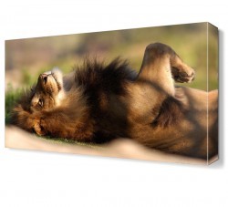 Yeleli Aslan Canvas Tablo (1)