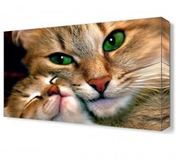 Anne Kedi ve Yavrusu Canvas Tablo (1)