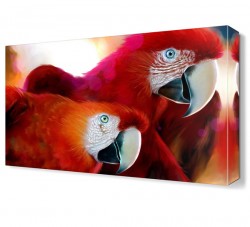 Kırmızı Papağanlar Canvas Tablo