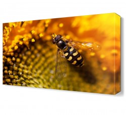 Arı Canvas Tablo
