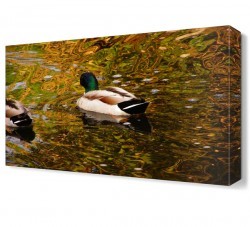 Göldeki Ördek Canvas Tablo (1)