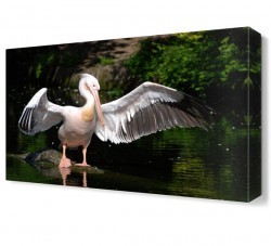 Pelikan Canvas Tablo (1)